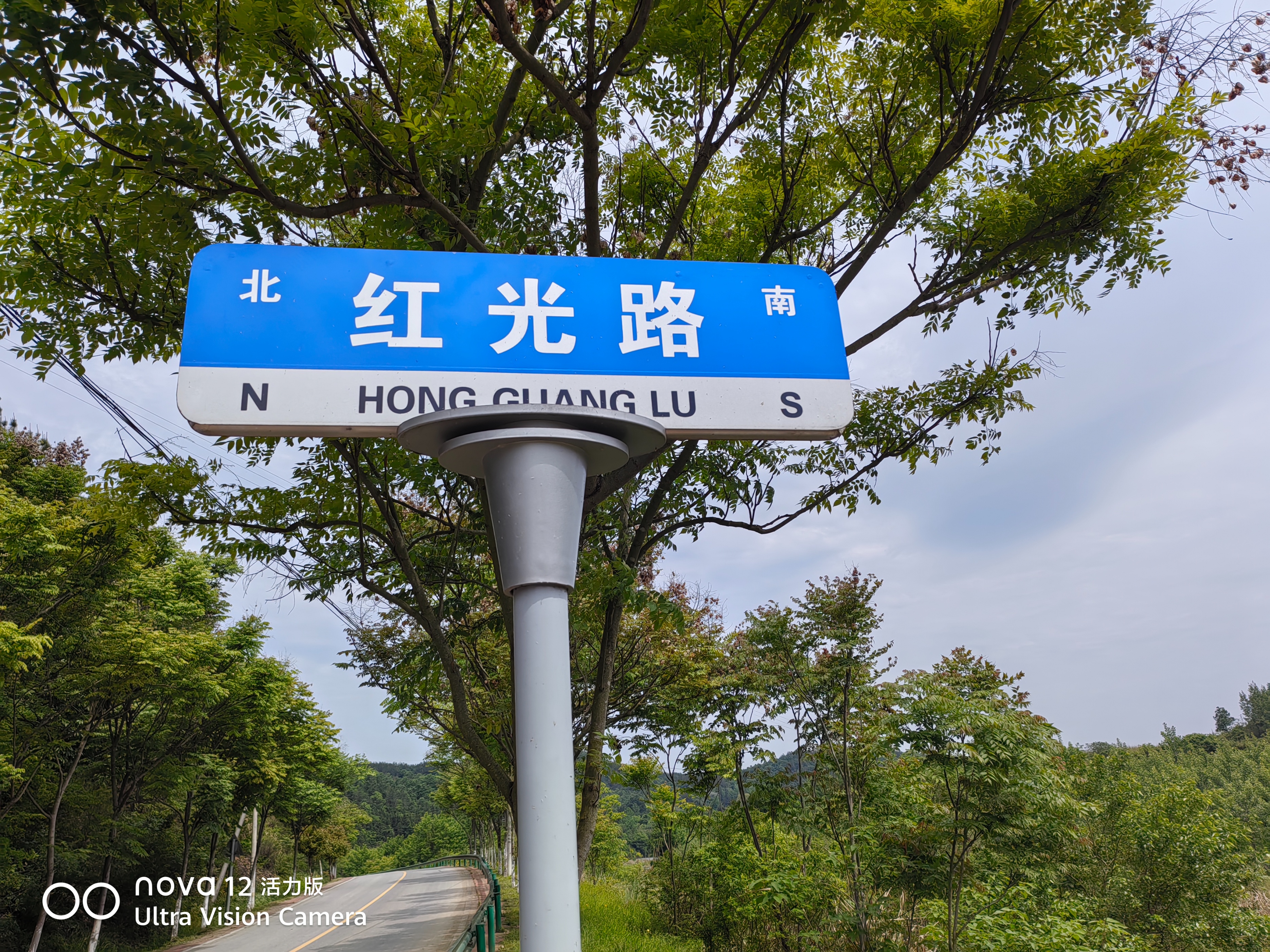 心情文化-油菜籽挂上红灯笼(19) 心情文化-油菜籽挂上红灯笼(19)