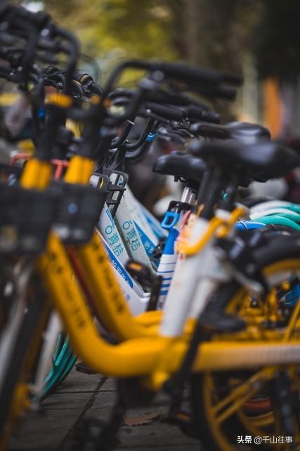 二十多年骑行老炮儿掏心窝实话：20个扎心真相！你中了几条？