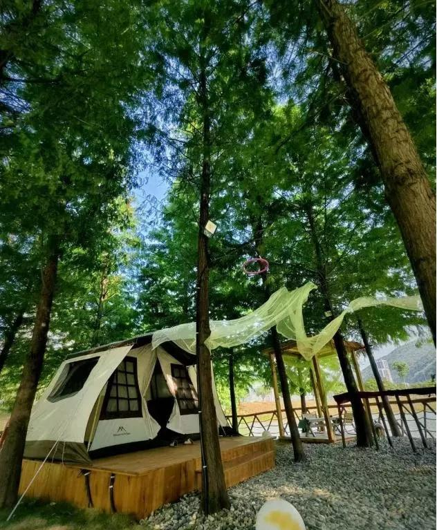 正式开放！黄石新增一处露营好去处