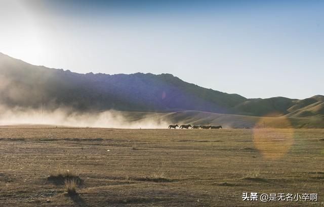 去了一趟新疆，这几件事真的是让我感觉有点大开眼界，还挺意外的
