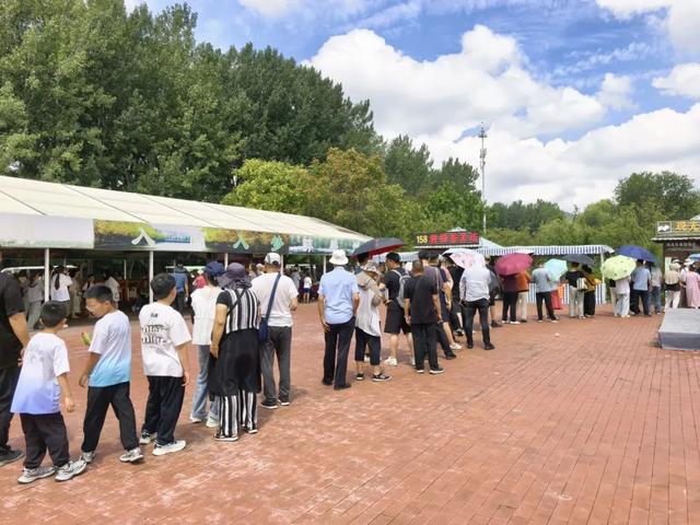 重磅消息！免票！免票！滕州微山湖红荷湿地面向山东省内游客免门票啦！