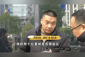 道闸砸伤“奥迪”？厂家：我只能把原理告诉你图片
