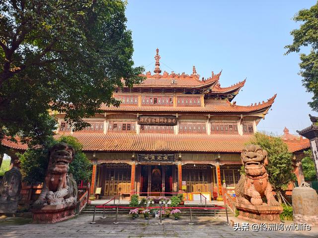 四川行(75)广汉②金雁湖公园·黑塔街·龙居寺