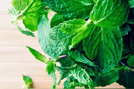 清凉爽口 提神醒脑 解暑“神器”薄荷该怎么吃？图片