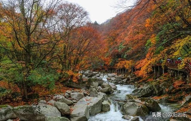 是什么让资深驴友每年秋天都偷偷跑去川西？？