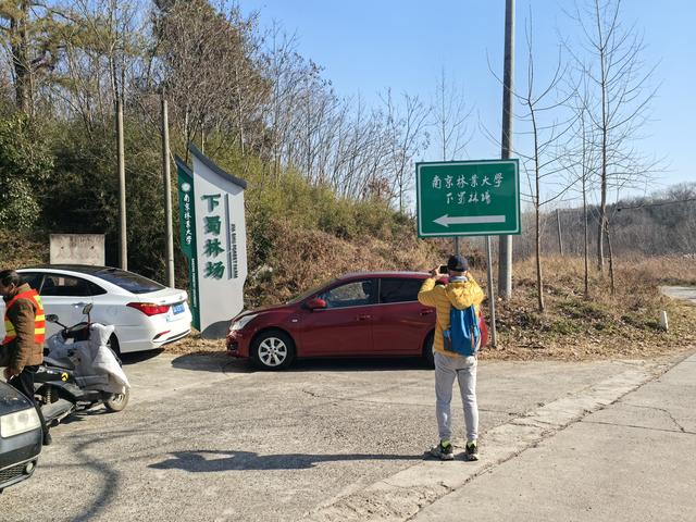 南京第二次到镇江武岐山空青山郊野徒步