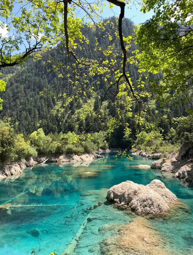 第一个发现九寨沟烤肠的人，绝对是天才