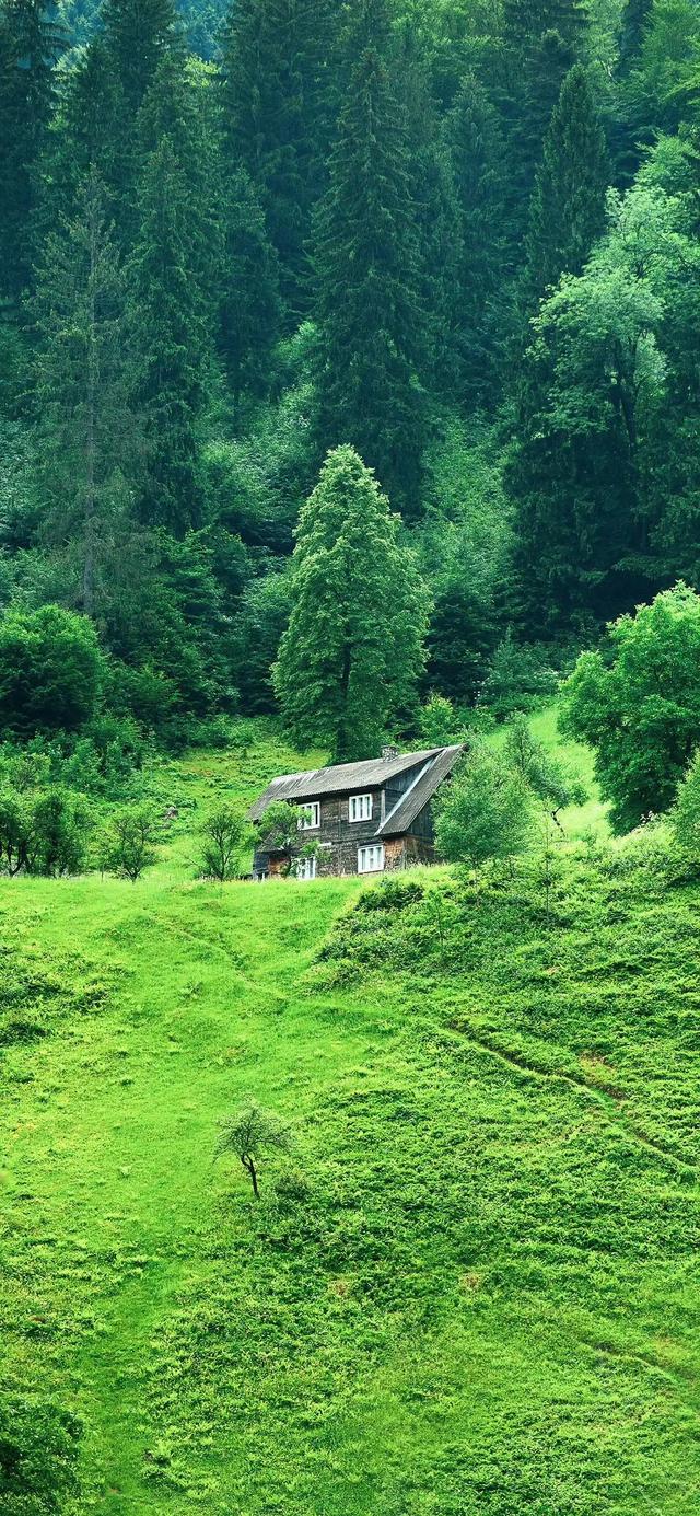 手机壁纸|自然美景，值得欣赏