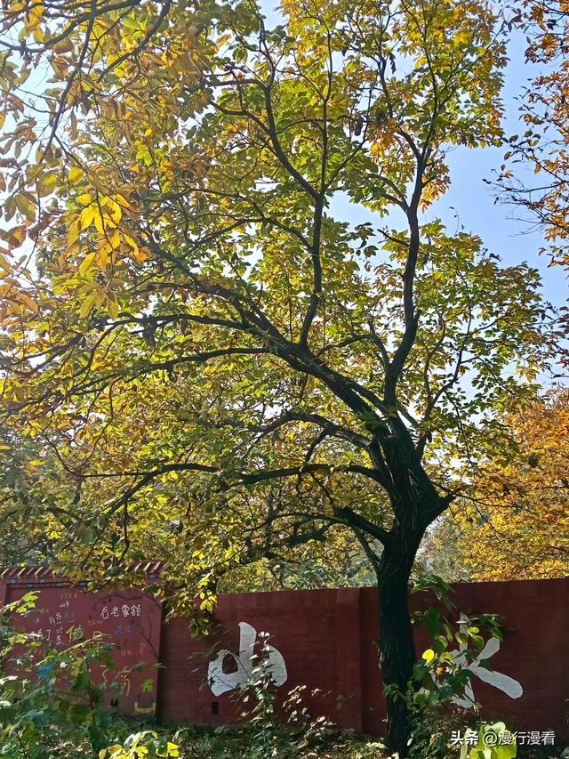 自驾南太行国画小镇石板岩第一天，行驶"全国最美农村路"林石线