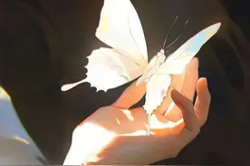 今日文案丨"一些写给自己的微信文案"图片