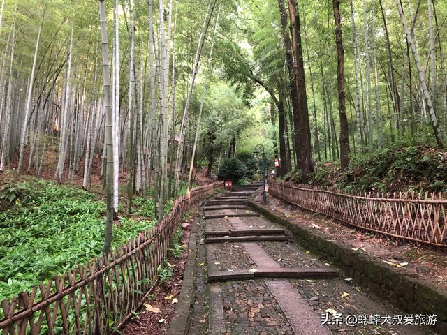 老杭州人才知道杭州登山路线，一路古迹拉满，80%游客都说好！