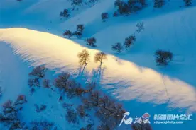 冬雪扮靓杏花谷 银装素裹美如画图片