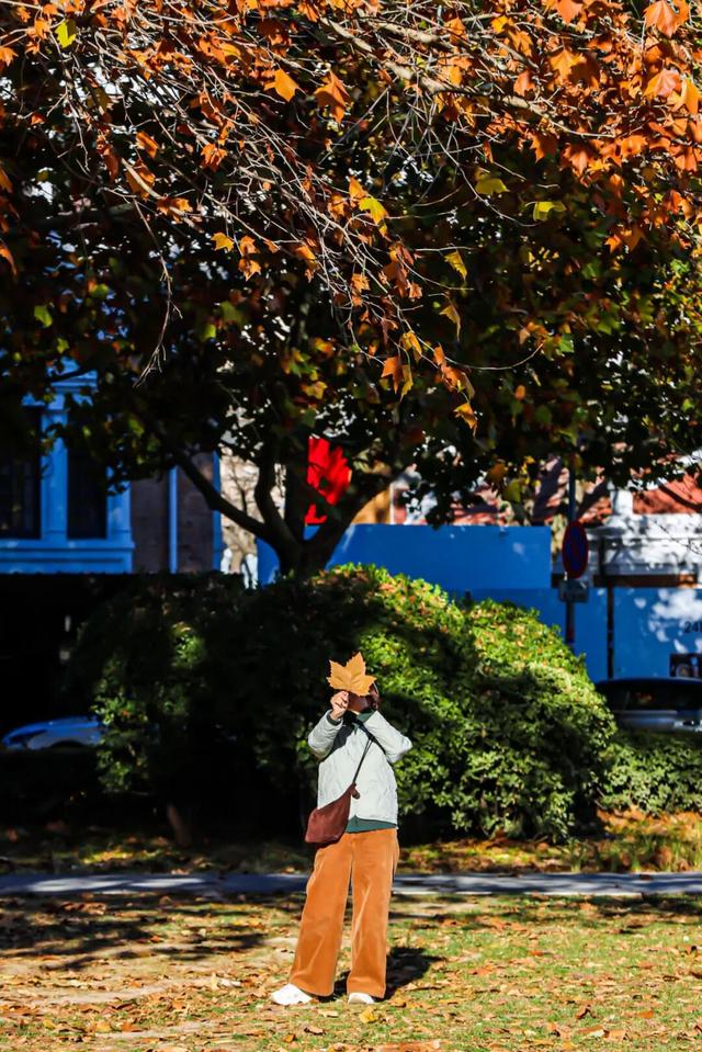 初冬的这座公园——这么静 那么美