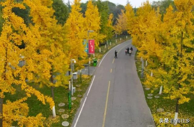 "西安世博园：免费4A级秋色天堂