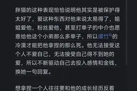 为什么胖猫事件无法让我产生共情？看网友的评论引起万千共鸣！图片