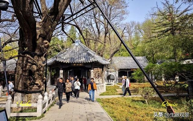 影记 | 春色春景之青州范公亭(上)