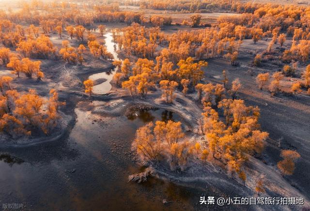 国庆后错峰游实测攻略！9 个小众地人少景美 + 性价比高，直接抄
