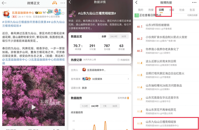 藏不住啦！五莲“兰槿”花火爆全网！