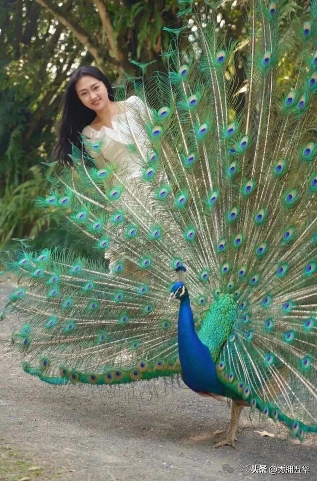 旅居云南｜德宏，是你安放身心、享受生活的最佳过冬地！