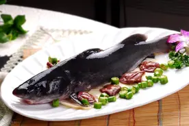 江团鲶鱼分不清？看头看尾看胡须，三招教你挑对鱼！图片