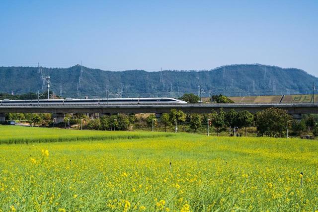 别被“赏花列车”骗了！这3趟才是真的开往春天，剩下的只是噱头