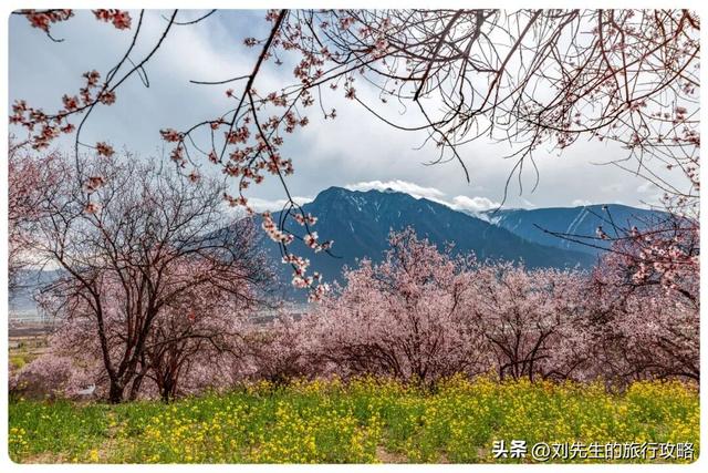 三月川藏线：邂逅中国最“野”的春天