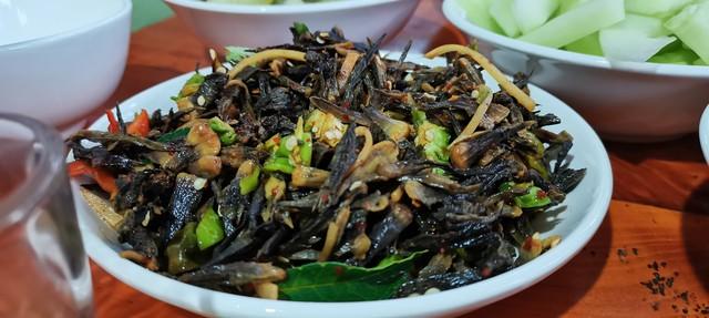 草木皆诗：云南，一座流动的中草药天堂