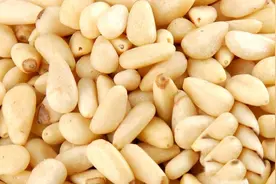 成本不过几块钱的柏子仁，让你一觉到天亮图片