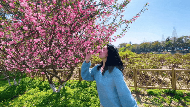 若你偏爱江南的温柔春色，就来常熟遇见美好