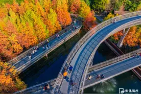 红了！火了！福建 “杉色” 正美图片