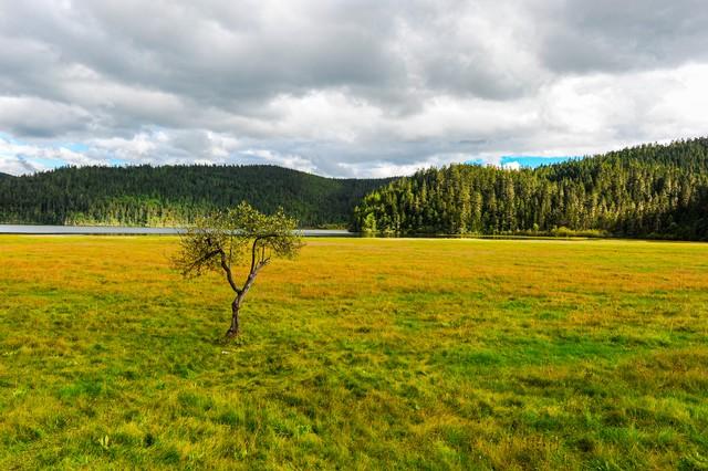 云南最美最值得去的4个城市，我去过第2个，想去第3个，你呢？