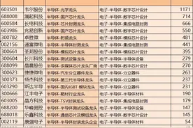 6大主线核心龙头股：半导体+鸿蒙+低空经济+创新药+机器人+6G图片