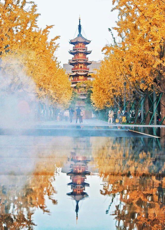 探徐汇｜全线“地铁”自助！5天游上海，徐汇玩“出圈”