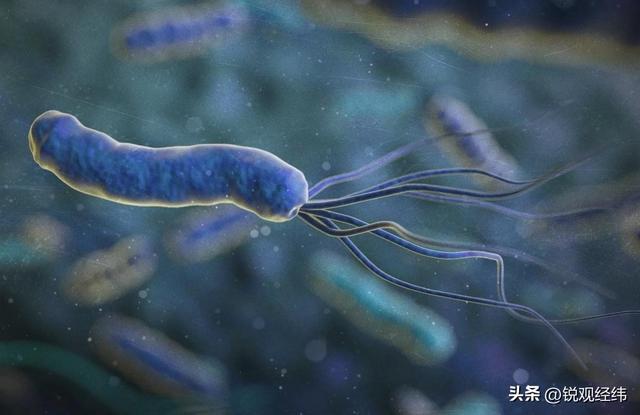 不靠马达齿轮照样动！普林斯顿大学的“元机器人”，设计刷新认知