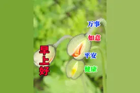 快乐并不远，嘴角常挂微笑就行图片