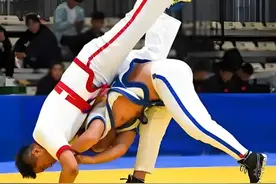 图解善扑功图片