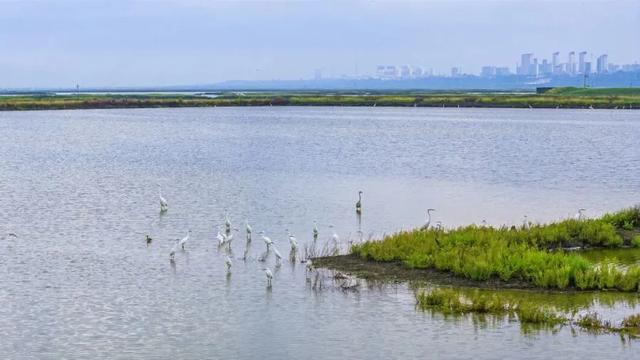 免费!玩转运城冬日绝美风光!