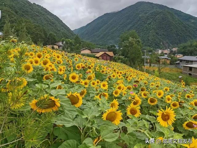 来白马山寨过个诗意国庆！这里的风不燥、云很柔、秋正好