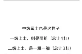 军衔背后的秘密：一眼看穿军人等级，你也能成为识别高手图片