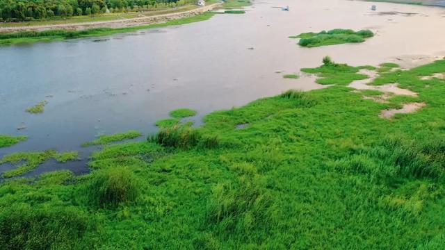 泌阳月儿湾公园对面，有一处沙滩公园