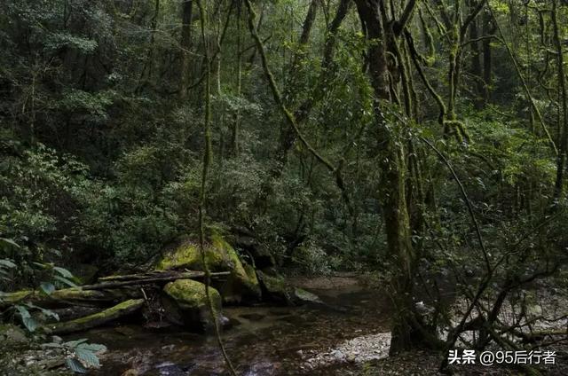 世界上只有中国才有的十大神奇景观,去过一半,都是大神级别!