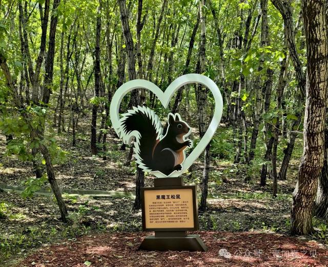 山水园林城 魅力七台河（上篇）