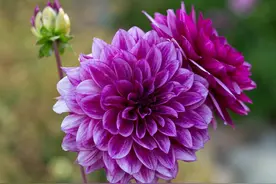 灵魂越高贵的女人，越享受孤独，她们具有七个特质，值得深交图片