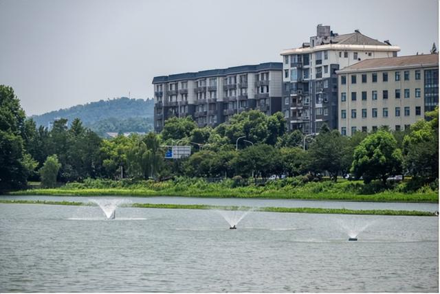 夏日荟聚游武昌，双湖桥片区“水清岸绿”颜值再提升