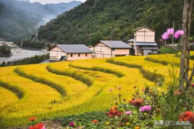 2025一号文件划红线！四类人却能回村建房，农民如何抓住政策红利图片