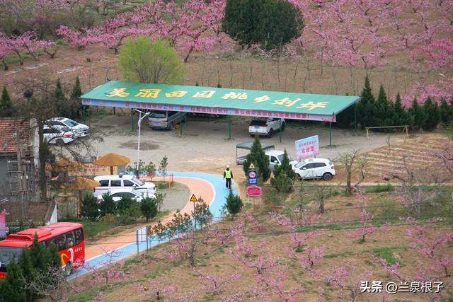 醉美桃花源启幕 秦安共赴春日盛宴