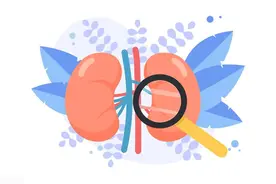 肾囊肿别担心，这两种坚果或是你的护肾“秘密武器”，补肾又益精图片