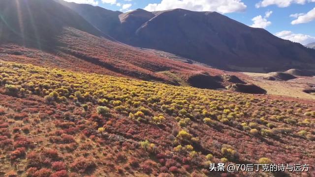 丁克夫妻用77天怒玩四川甘孜一共花了多少钱?总结来了!