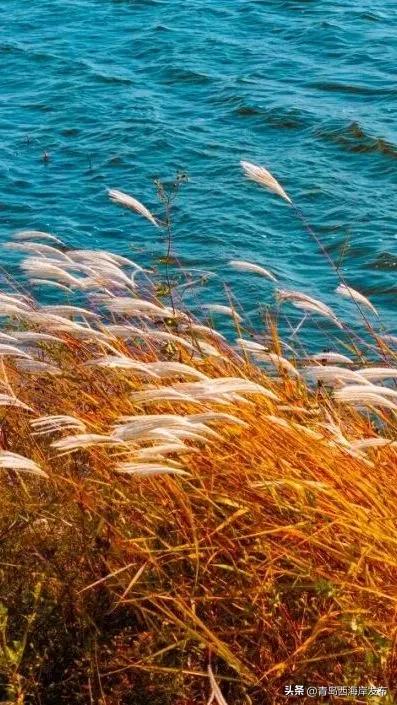 走不出这画了，我已被西海岸的秋景迷倒 🥹