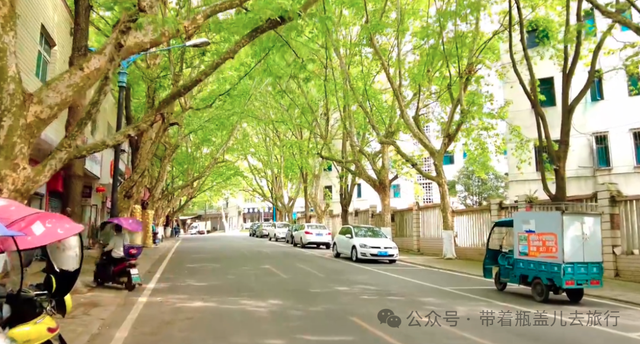 贵州深山里最美三线厂，藏着60年代东北人的硬核浪漫，谁还记得？